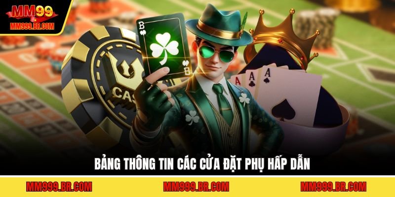 Bảng thông tin các cửa đặt phụ hấp dẫn