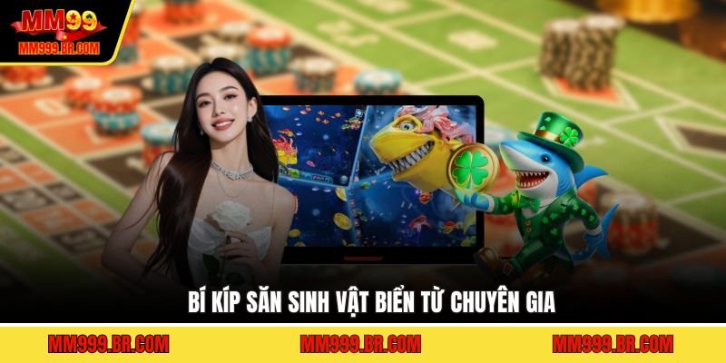 Bí kíp săn sinh vật biển từ chuyên gia