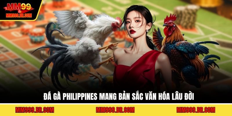 Đá gà Philippines mang bản sắc văn hóa lâu đời