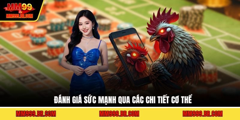 Đánh giá sức mạnh qua các chi tiết cơ thể