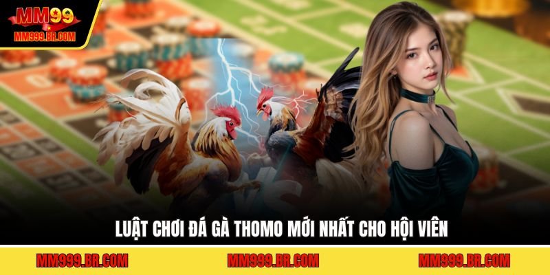 Luật chơi đá gà Thomo mới nhất cho hội viên