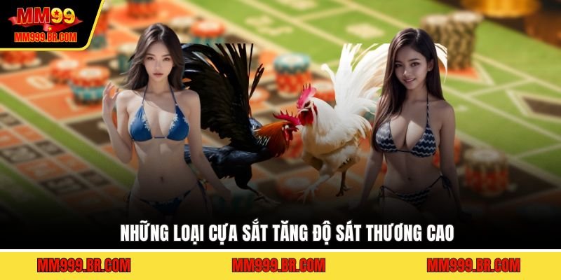 Những loại cựa sắt tăng độ sát thương cao