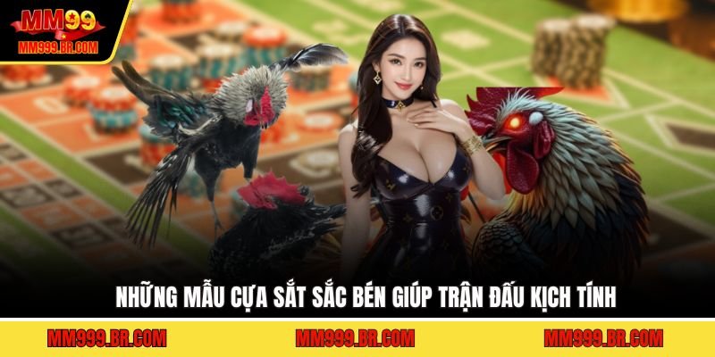 Những mẫu cựa sắt sắc bén giúp trận đấu kịch tính